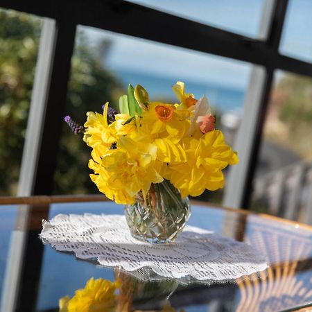 Petra Seaside Apartment Dunedin Esterno foto