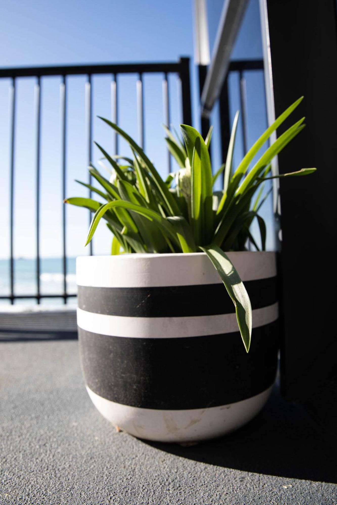 Petra Seaside Apartment Dunedin Esterno foto