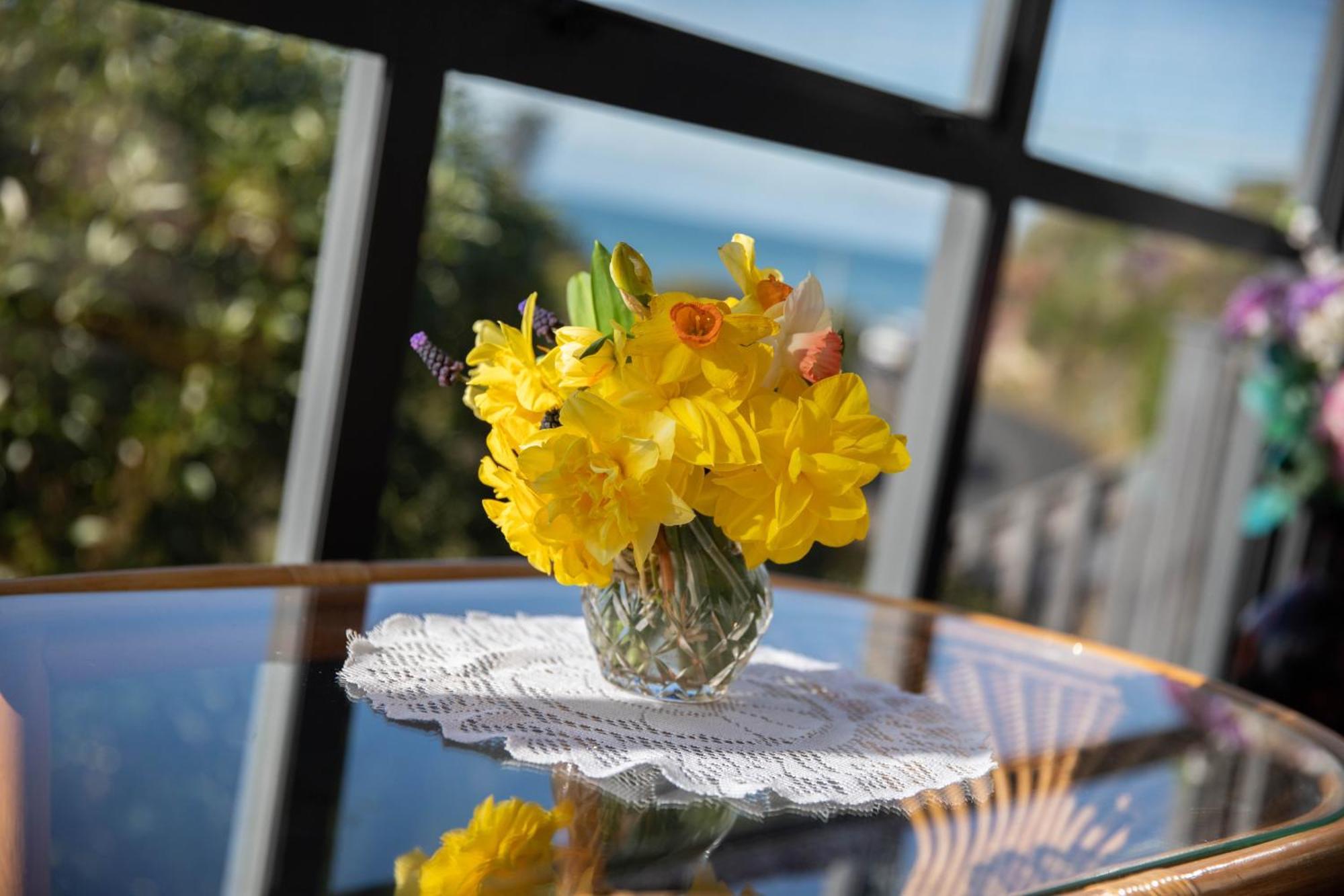 Petra Seaside Apartment Dunedin Esterno foto
